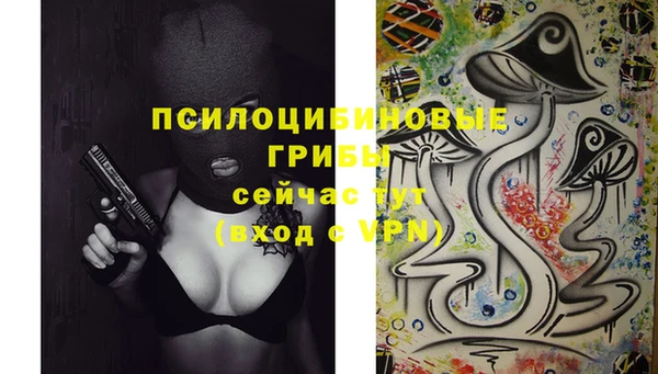 СК Белокуриха