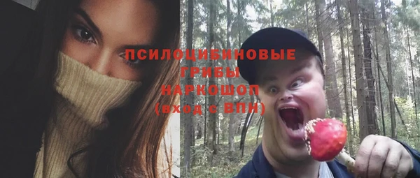 СК Белокуриха