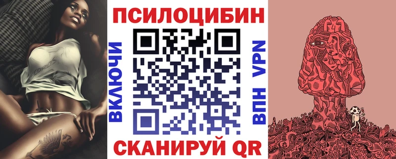 Псилоцибиновые грибы прущие грибы  Велиж 